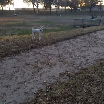 Basin AH1 Dog Park